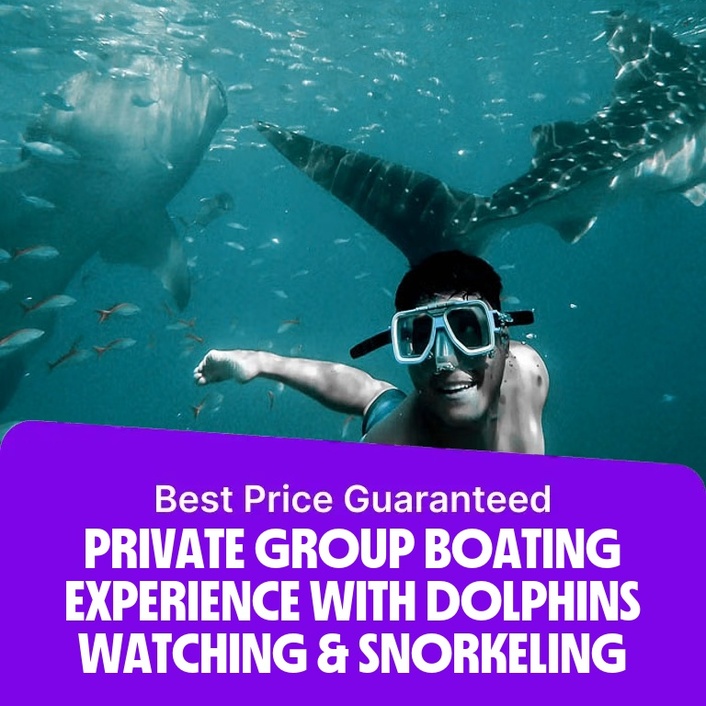 Private group Boating Experience with Dolphins Watching & Snorkeling – Sightseeing and Tours