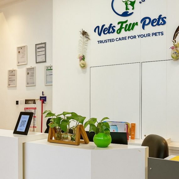 Professional Pet Grooming For Cats, Medium Or Large Dogs PETS Shop Online at Special Price from Oman Mega Deals