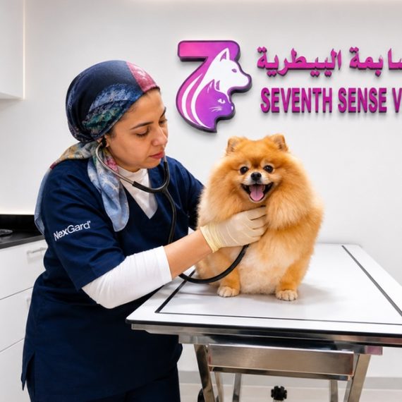 Professional Veterinary Care And Annual Pet Wellness Packages PETS Shop Online at Special Price from Oman Mega Deals