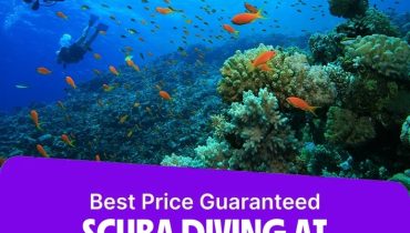 Scuba Diving at Sealine – Qool Qatar – Must-see attractions
