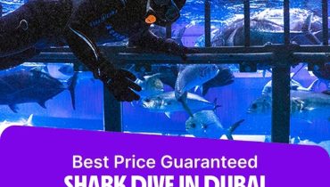 Shark Dive in Dubai Aquarium (Certified Divers Only) – Recently Added Experiences
