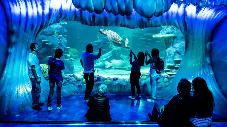 Aquarium de Paris: Entry Ticket - Indoor Attractions Aquarium de Paris: Entry Ticket - Indoor Attractions OmanMegaDeals.com