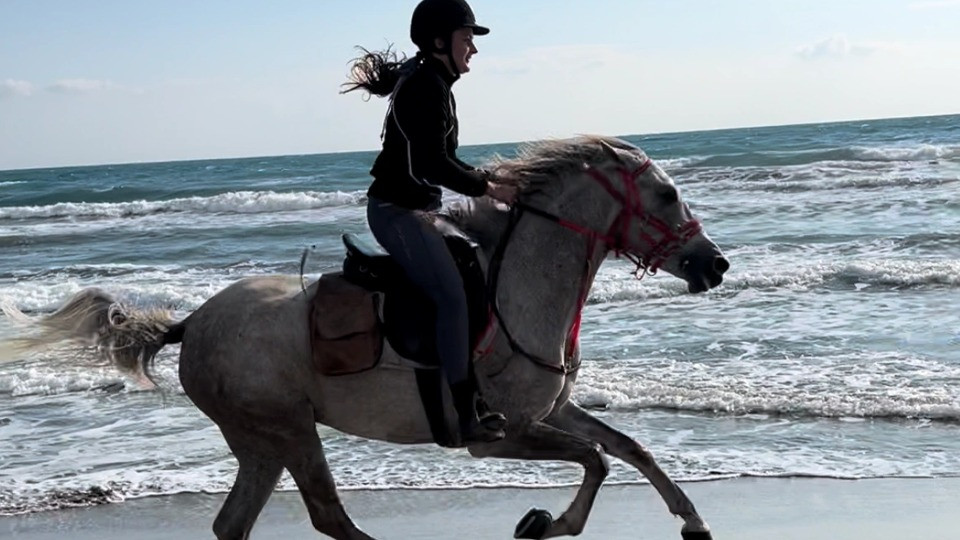 Horse Riding at Shahaniya - Qool Qatar - Must-see attractions Horse Riding at Shahaniya - Qool Qatar - Must-see attractions OmanMegaDeals.com