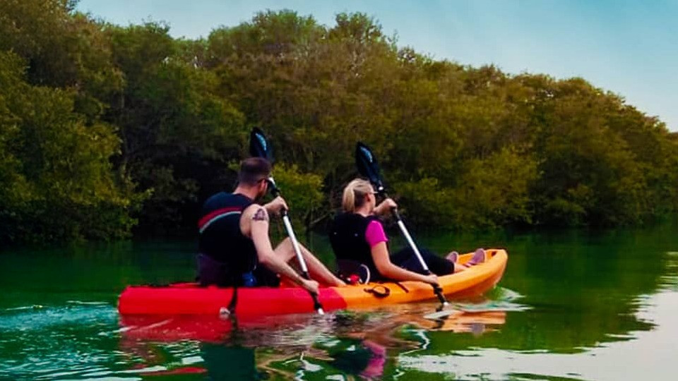 Mangroves Kayaking at Purple Island - Qool Qatar - Must-see attractions Mangroves Kayaking at Purple Island - Qool Qatar - Must-see attractions OmanMegaDeals.com