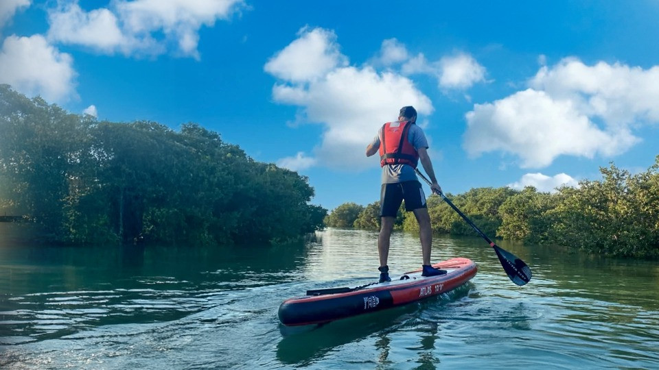 Mangroves paddleboarding at Purple Island - Qool Qatar - Must-see attractions Mangroves paddleboarding at Purple Island - Qool Qatar - Must-see attractions OmanMegaDeals.com
