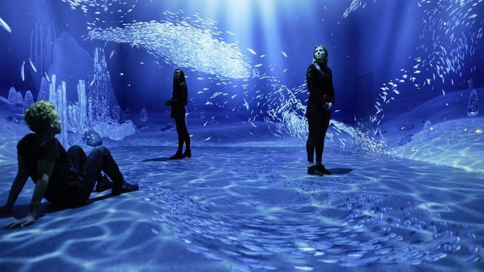Remastered in Rotterdam: An Audiovisual Experience - Indoor Attractions Remastered in Rotterdam: An Audiovisual Experience - Indoor Attractions OmanMegaDeals.com