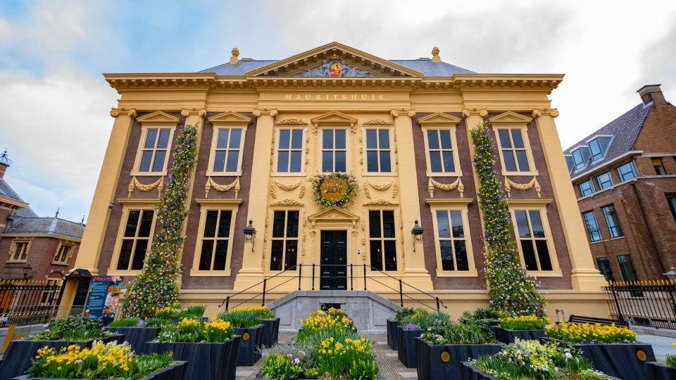 The Hague: Mauritshuis Entrance Ticket - Must-see attractions The Hague: Mauritshuis Entrance Ticket - Must-see attractions OmanMegaDeals.com