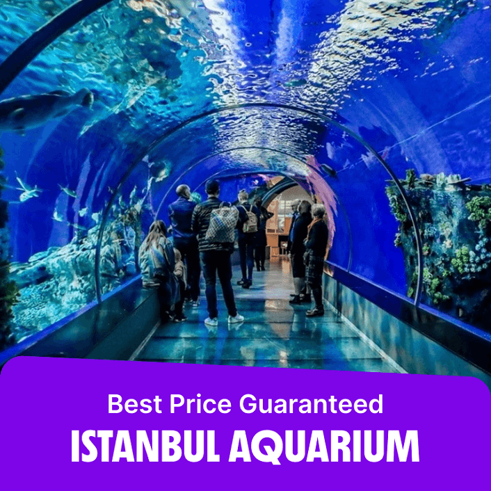 Istanbul Aquarium Ticket & Shuttle – Aqua Florya – Experiences