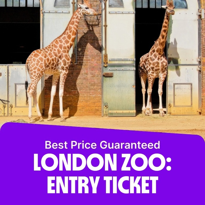 London Zoo: Entry Ticket – Recently Added Experiences